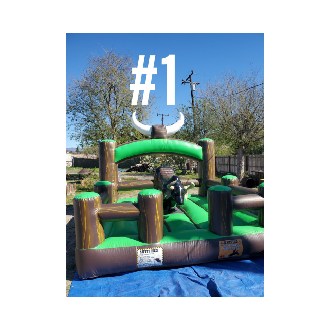 Rent Jumpers, mecanical bull and More... - Karen Jumpers